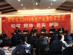 第二期共8天云南能投化工集团《问题分析与解决